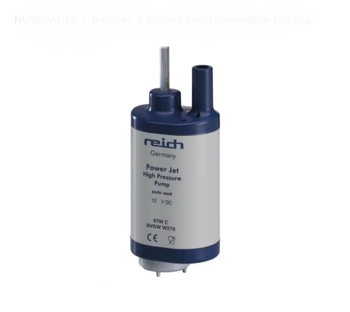 Bomba Reich sumergible 12V 25L