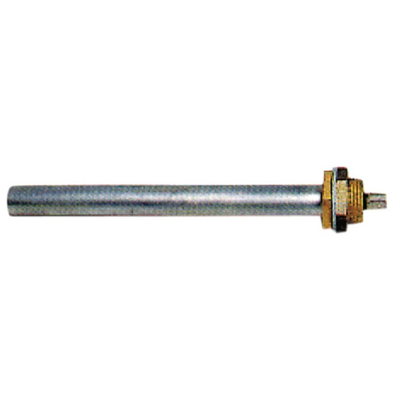 Resistencia anticongelante 12 V para depósito de agua